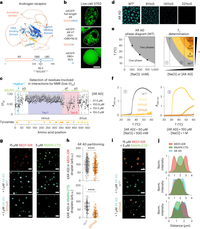 PMC10716049 – Fig1