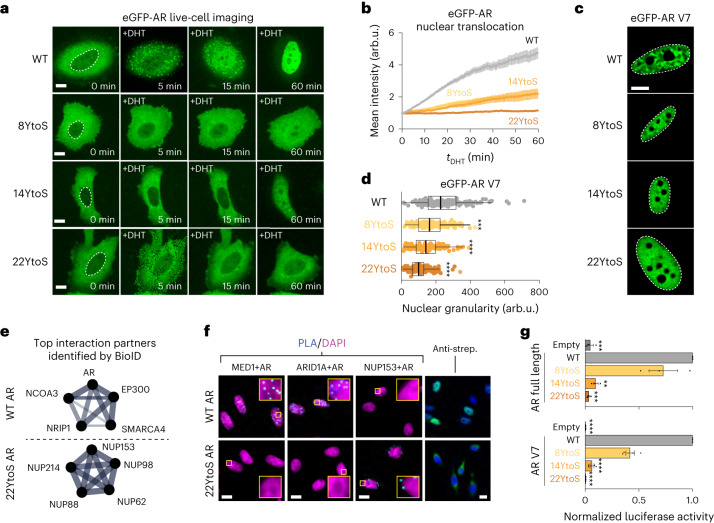 PMC10716049 – Fig2