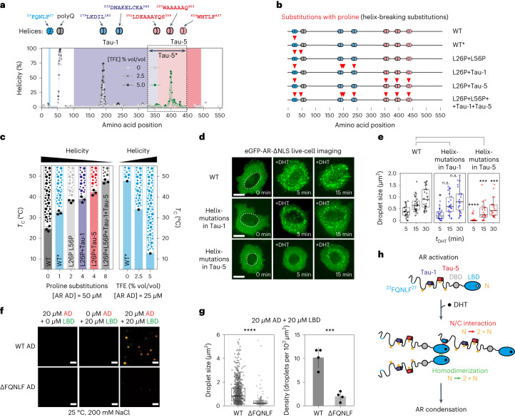 PMC10716049 – Fig3