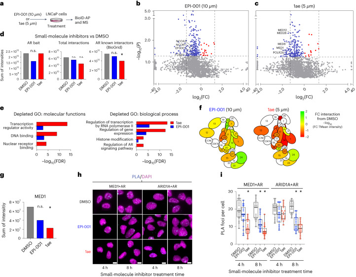 PMC10716049 – Fig5