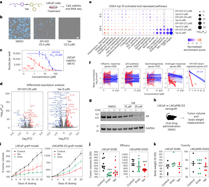 PMC10716049 – Fig6