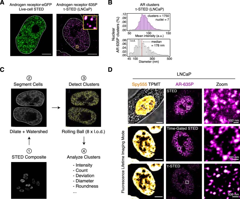 PMC10716049 – Fig7