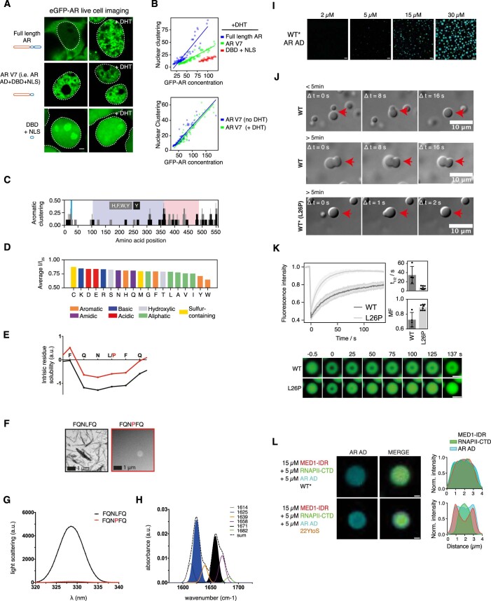 PMC10716049 – Fig8