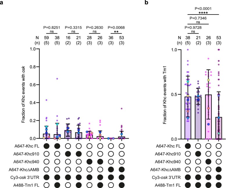 PMC10948360 – Fig10