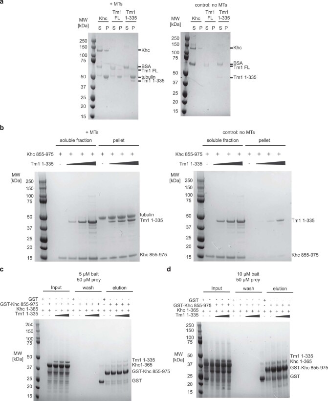 PMC10948360 – Fig11