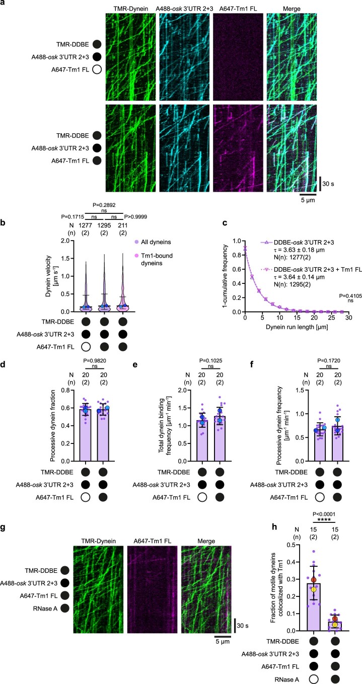 PMC10948360 – Fig14