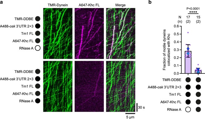 PMC10948360 – Fig17