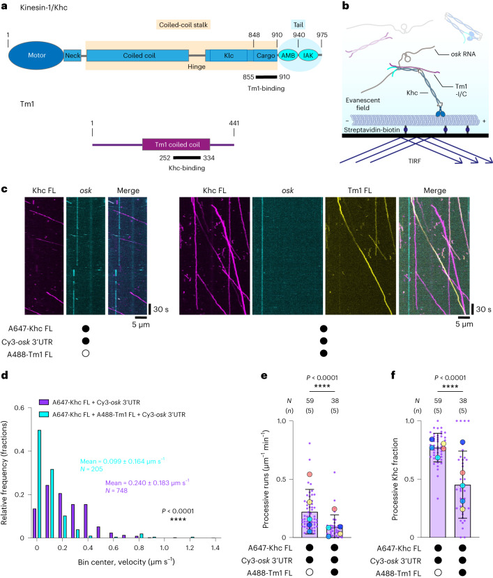 PMC10948360 – Fig1