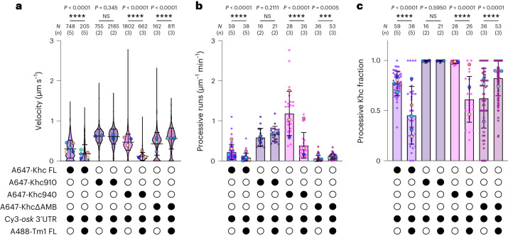 PMC10948360 – Fig2