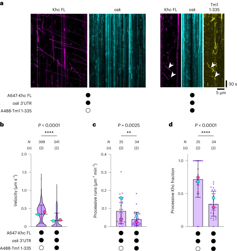 PMC10948360 – Fig3