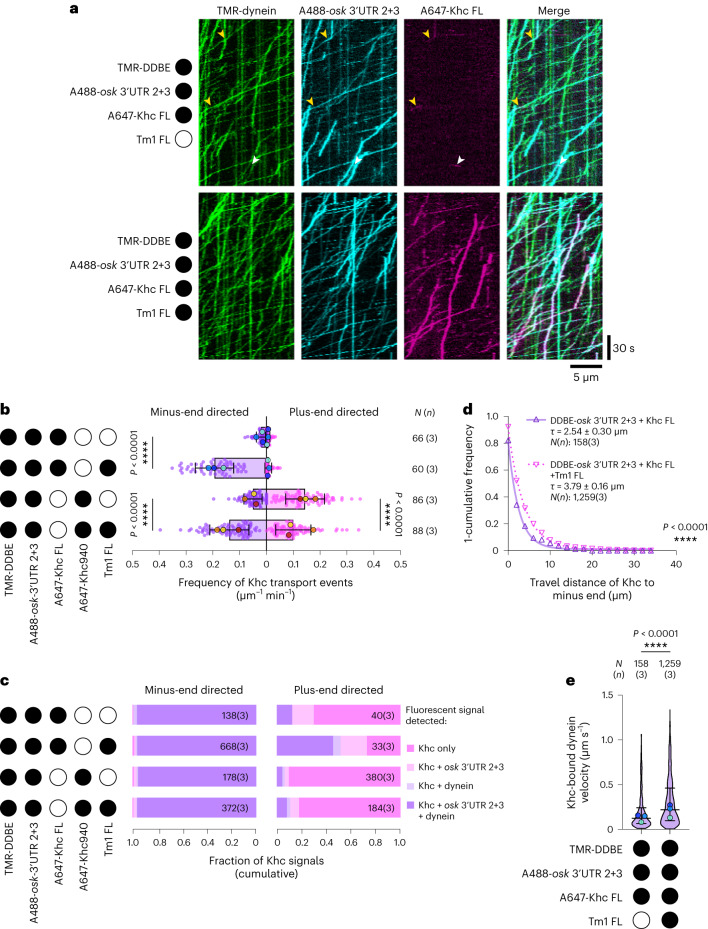 PMC10948360 – Fig6