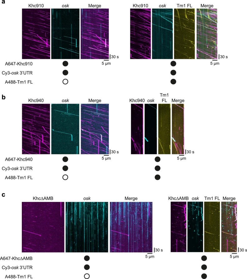 PMC10948360 – Fig9