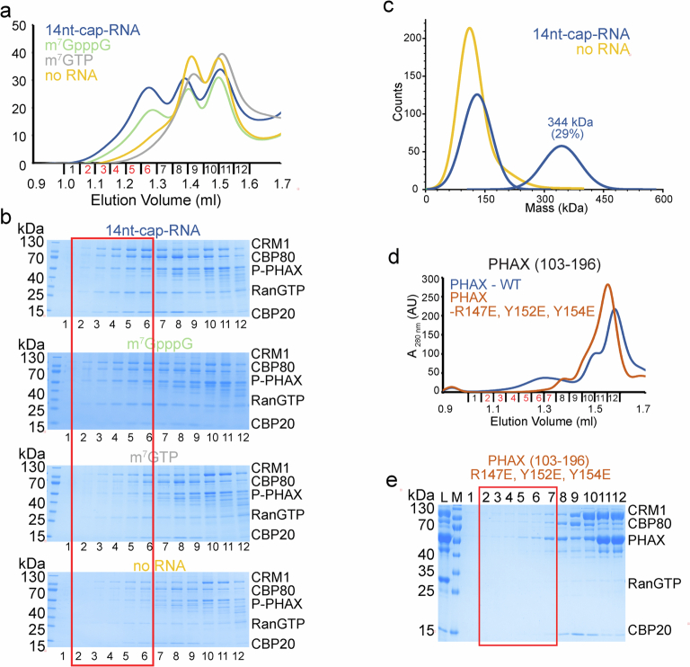 PMC12350170 – Fig10