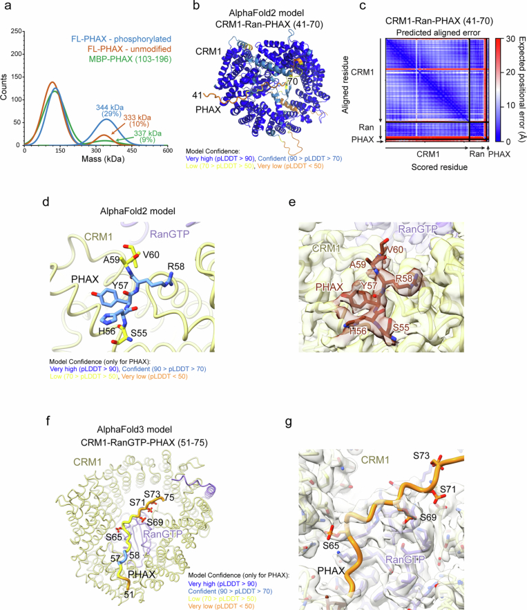 PMC12350170 – Fig11