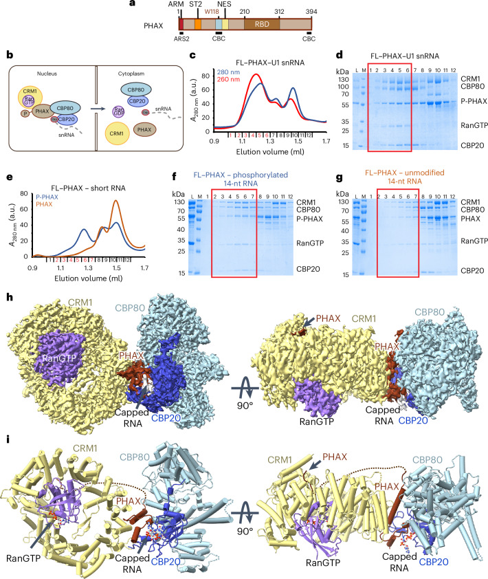PMC12350170 – Fig1