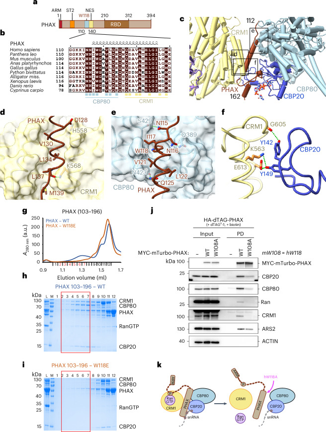 PMC12350170 – Fig2