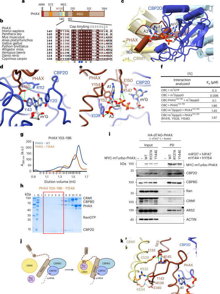 PMC12350170 – Fig3