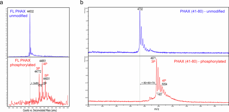 PMC12350170 – Fig6