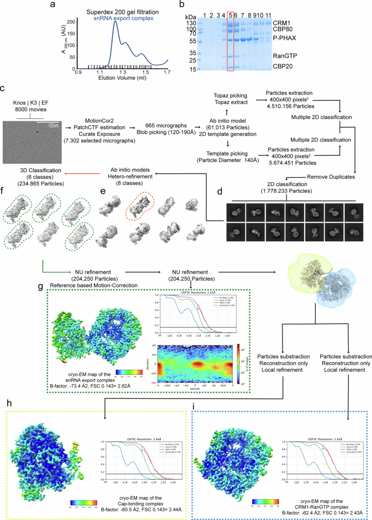 PMC12350170 – Fig7
