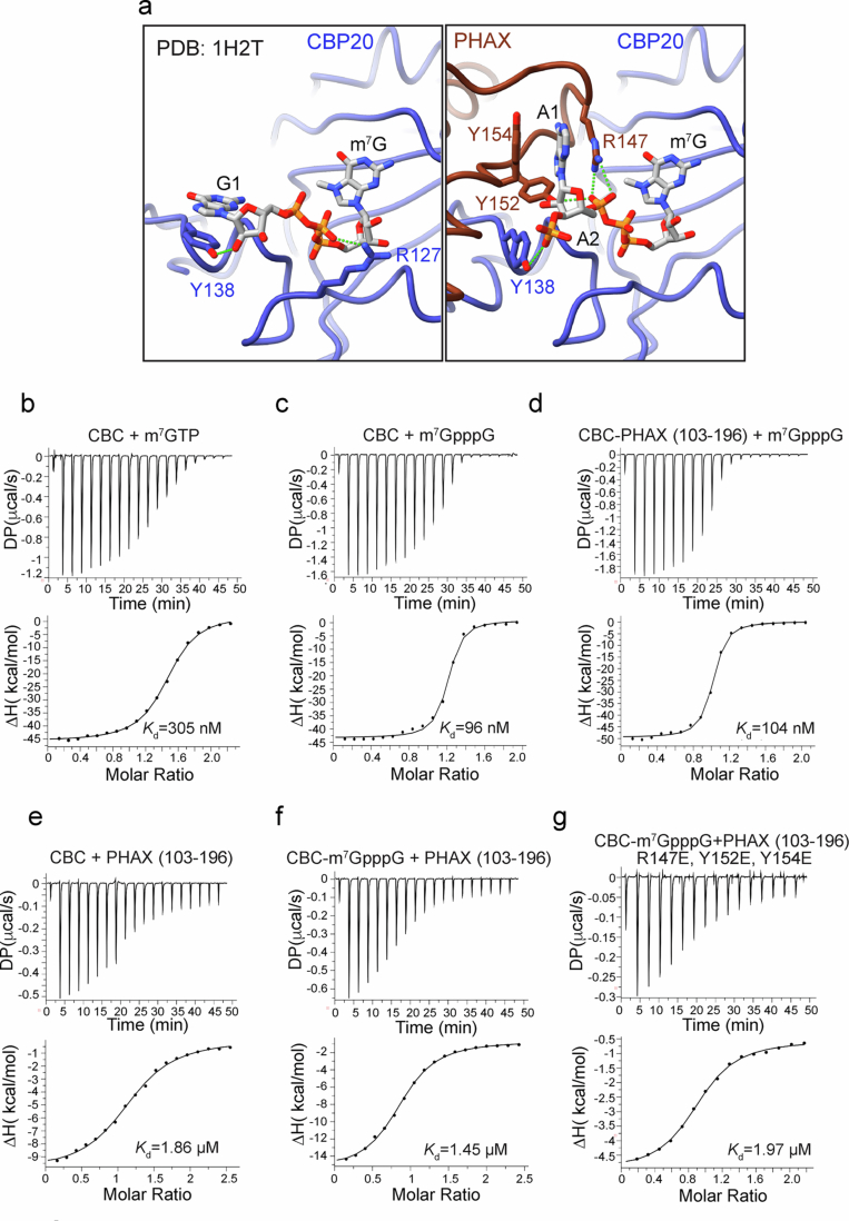 PMC12350170 – Fig9