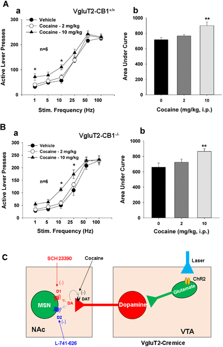 PMC5614984 – Fig6