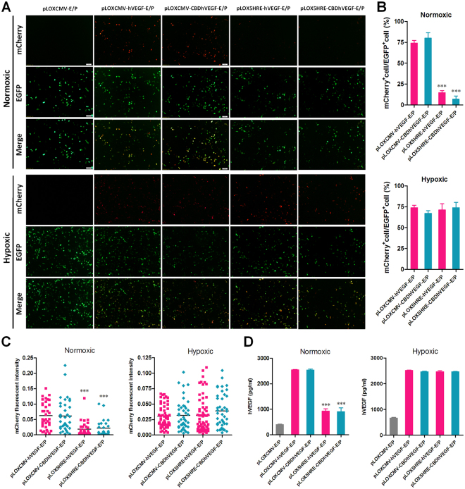 PMC5643404 – Fig2