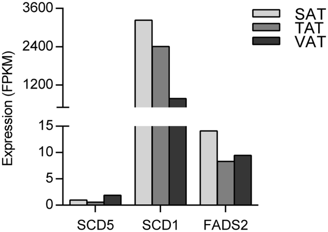 PMC5670210 – Fig2