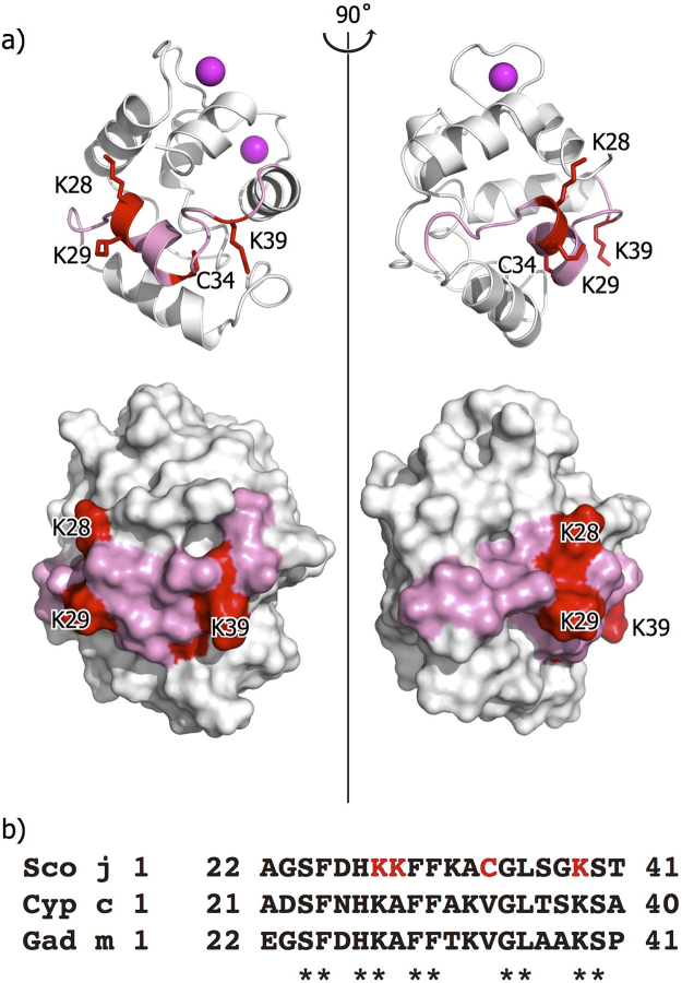 PMC5719450 – Fig3