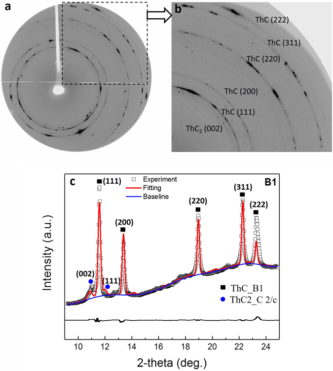 PMC5428025 – Fig1