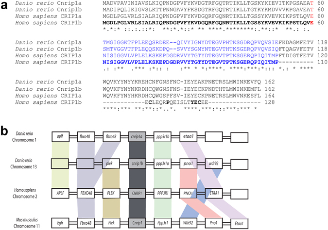 PMC5501828 – Fig1