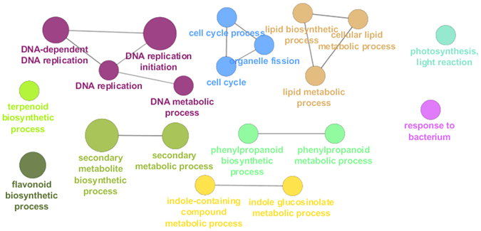PMC5504027 – Fig3