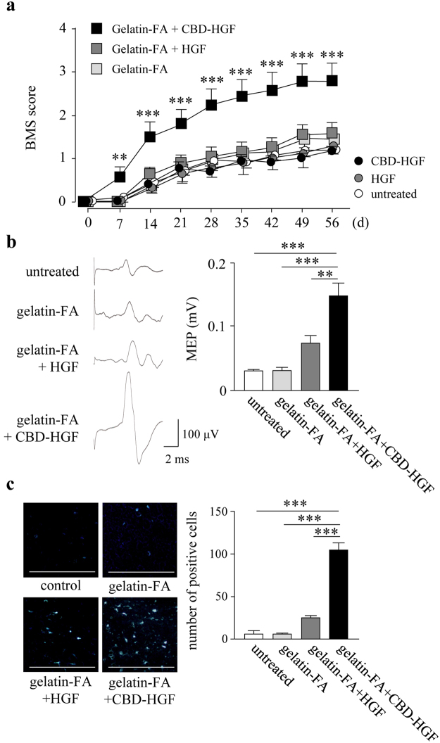 PMC5772669 – Fig6