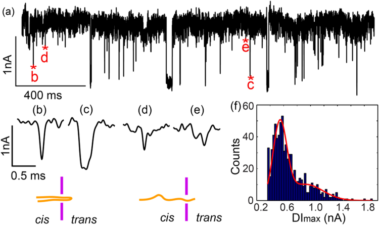 PMC5775244 – Fig5