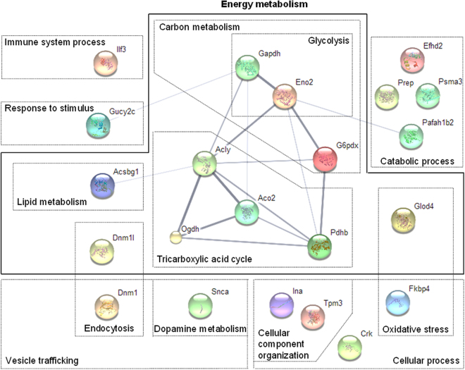 PMC5940678 – Fig5