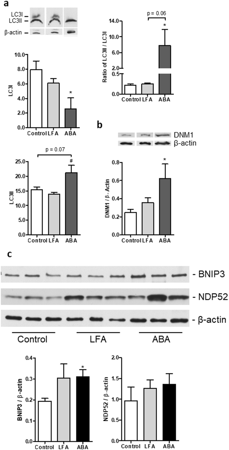 PMC5940678 – Fig7