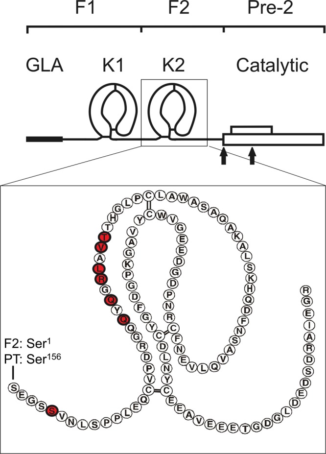 PMC6385242 – Fig1