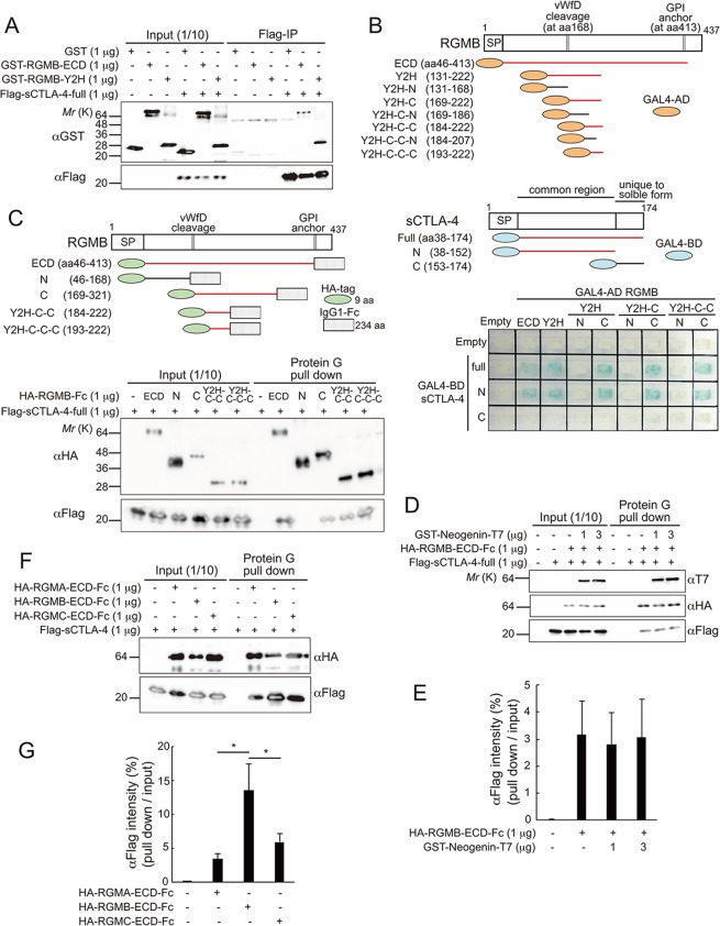 PMC6502797 – Fig1