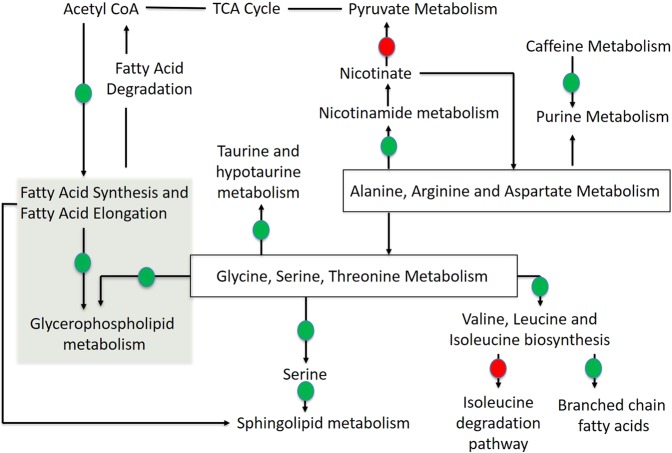 PMC6642200 – Fig4
