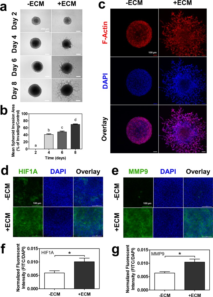 PMC6717201 – Fig6