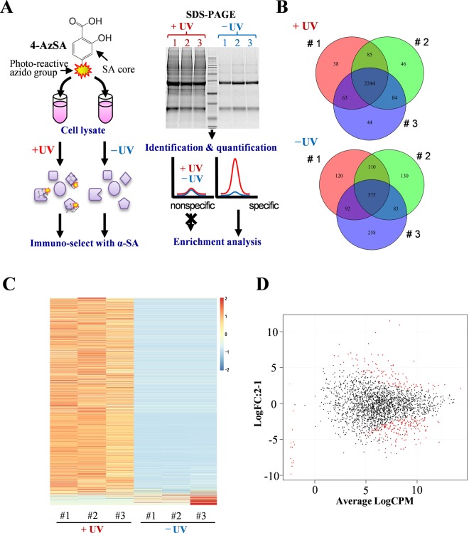 PMC6739329 – Fig1