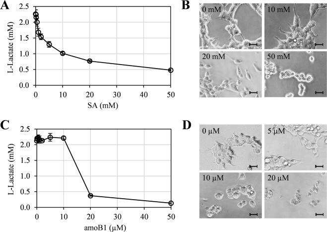 PMC6739329 – Fig5