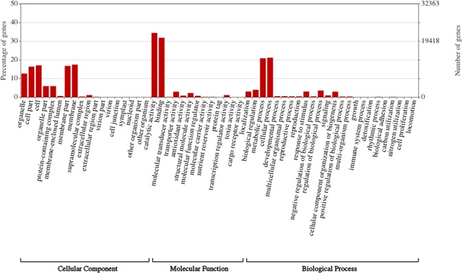 PMC6851104 – Fig3