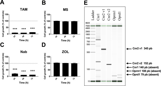 PMC6934511 – Fig2