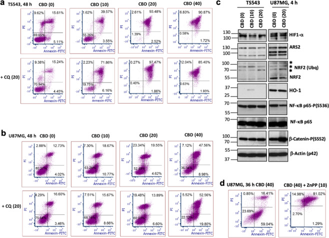 PMC7021896 – Fig10