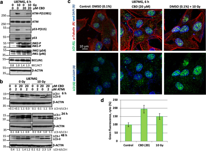 PMC7021896 – Fig1