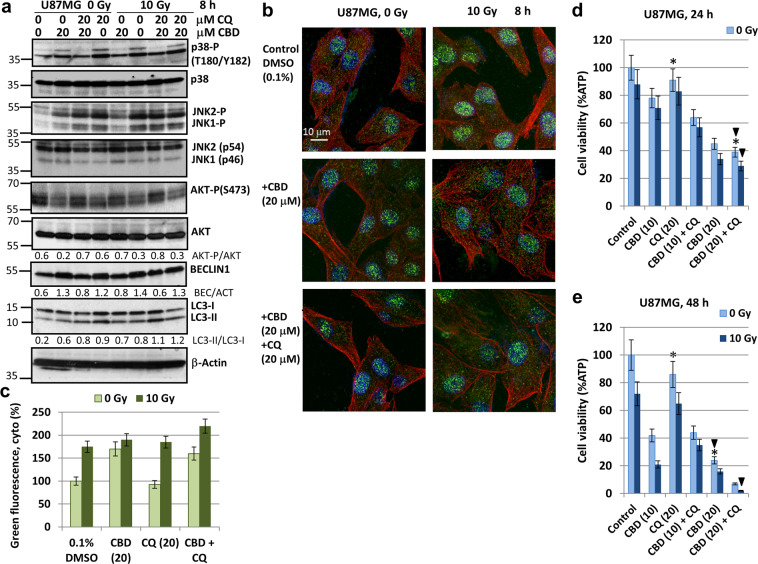 PMC7021896 – Fig2