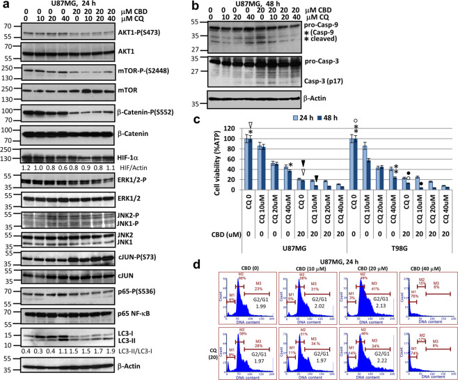 PMC7021896 – Fig3