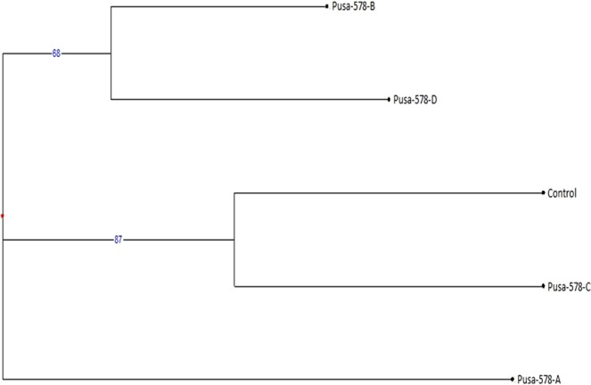 PMC7048850 – Fig14