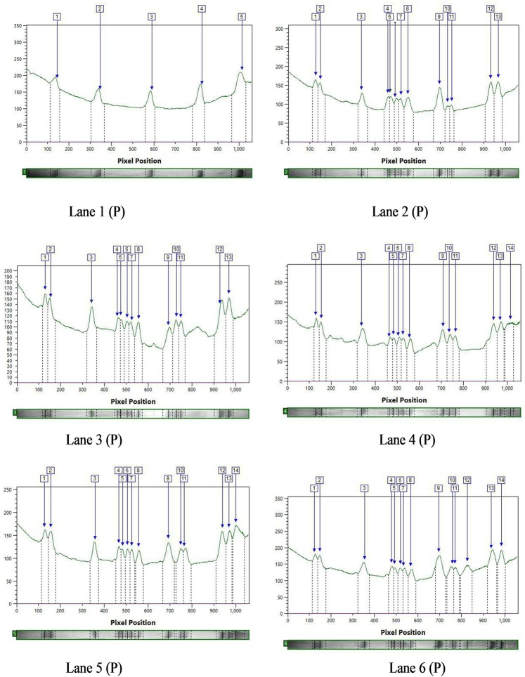 PMC7048850 – Fig4
