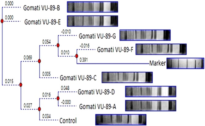 PMC7048850 – Fig5